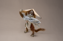 Yokai Doll：Kawauso（Otter Yokai） / 獺（かわうそ）