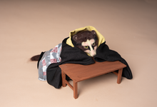 Yokai Doll : Bunbuku Chagama (Lucky Kettle) / 分福茶釜