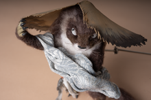 Yokai Doll：Kawauso（Otter Yokai） / 獺（かわうそ）