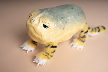 Yokai Doll : Trakoishi (Tiger Pebbel) / 虎小石（とらこいし）