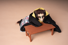 Yokai Doll : Bunbuku Chagama (Lucky Kettle) / 分福茶釜