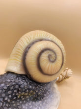 Yokai Doll : Kyodai Katatsumuri (Giant Snail) / 巨大蝸牛